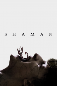 Shaman streaming