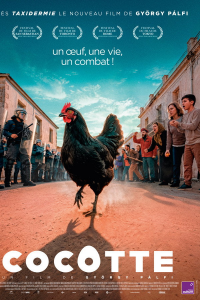 Cocotte (Κότα) streaming