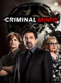 Esprits criminels Saison 15 en streaming français