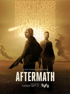 Poster film