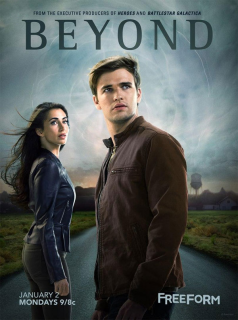 Poster film