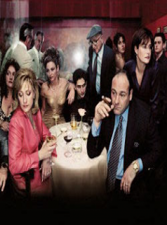 Les Soprano Saison 6 en streaming français