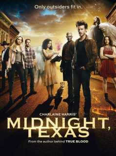Poster film