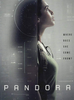 Poster film