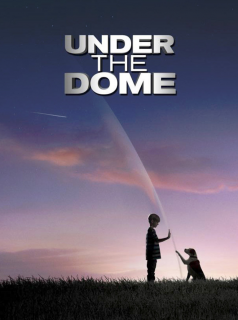 Poster film
