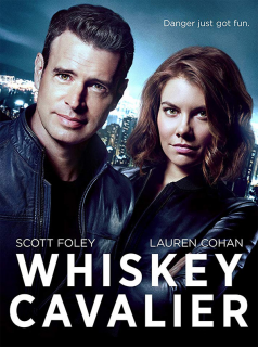 Poster film
