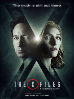Poster film