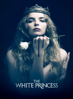 Poster film