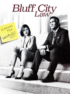Bluff City Law Saison 1 en streaming français