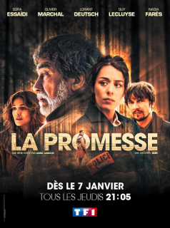 Poster film