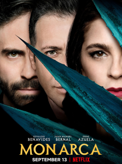 Poster film