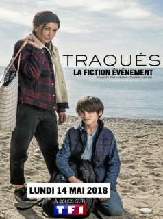 Poster film