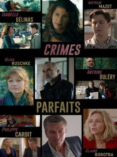 Crimes parfaits Saison 2 en streaming français