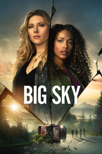 Poster film
