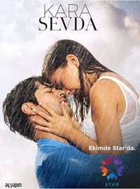Poster film