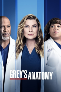 Grey's Anatomy Saison 7 en streaming français