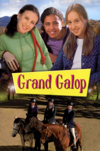 Poster film