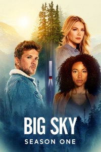 Poster film