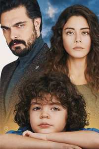 Poster film