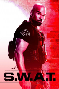 Poster film