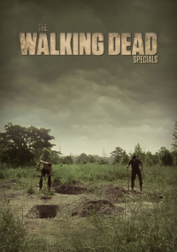 Poster film