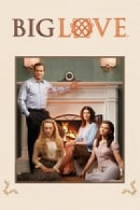 Poster film