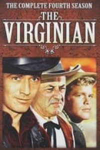 Poster film