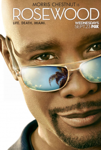 Rosewood Saison 1 en streaming français