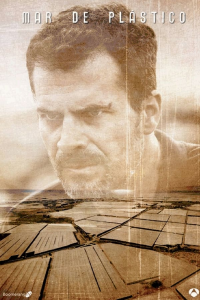 Poster film