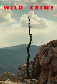Wild Crime Saison 1 en streaming français
