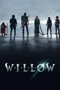 Poster film
