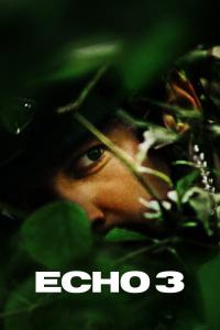 Poster film