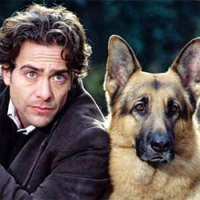 Rex, chien flic Saison 8 en streaming français