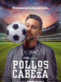 Poster film