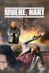 Poster film