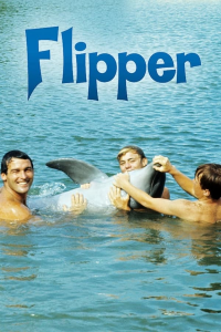 Poster film
