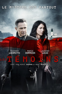 Poster film