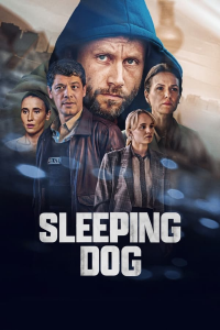 Poster film