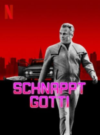 Get Gotti : Le parrain doit tomber streaming