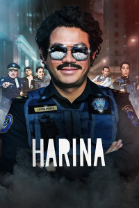Poster film
