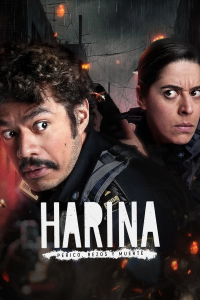 Poster film