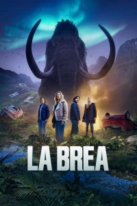 Poster film