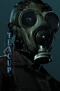 Poster film