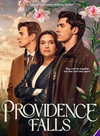 Poster film