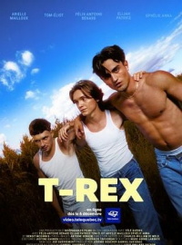 Poster film